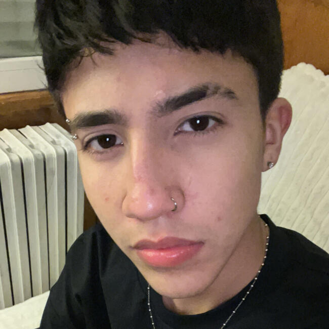 Babysitter in Zaragoza: David