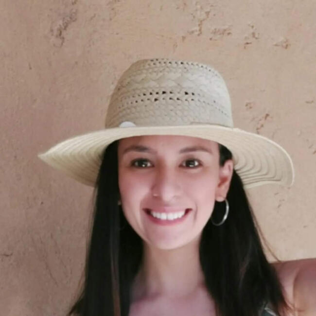 Babysitting job in Santiago: Stephanie