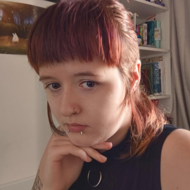 Babysitter in Brisbane: Solar
