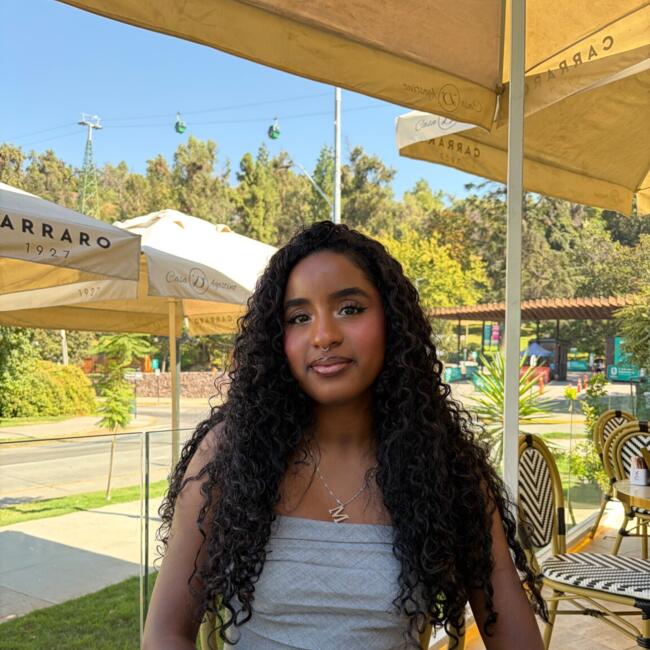 Babysitter in Santiago: Michelle