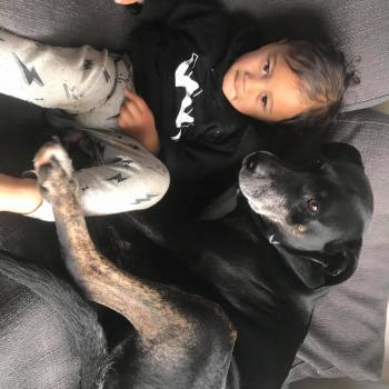 Babysitting Jobs in Gisborne: babysitting job Ange