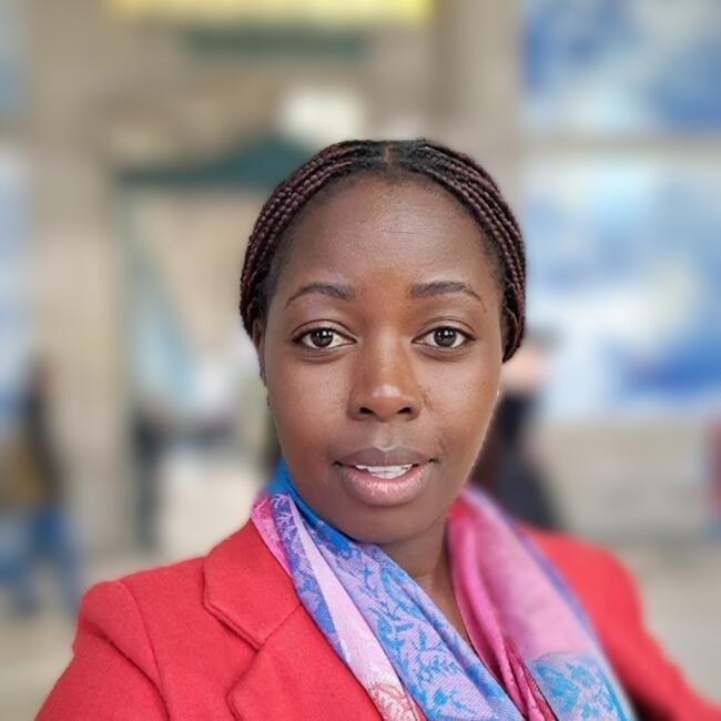 Babysitter em Porto: Mercy