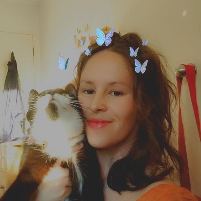 Babysitter in Napier City: Amy