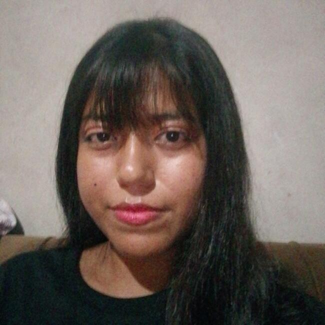 Niñera en Warnes: Ana Lizeth