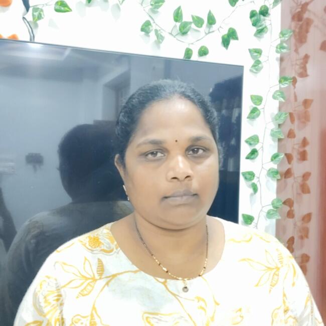 हैदराबाद में बेबीसिटर: Seshu kumari