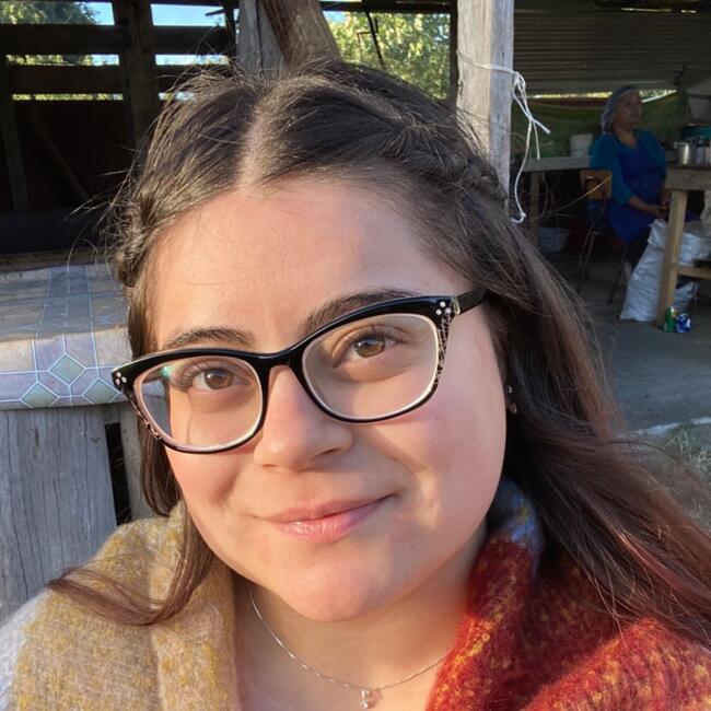 Babysitter in Puente Alto: Millaray