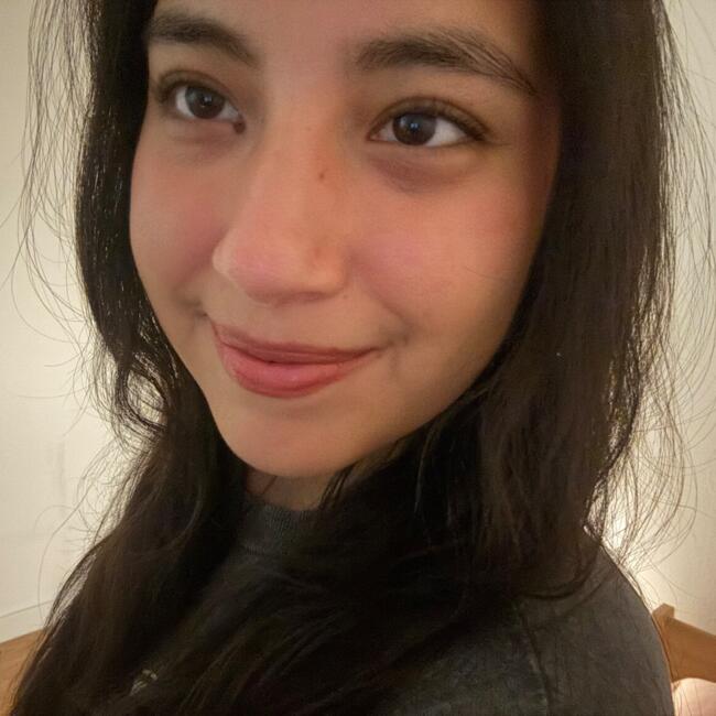 Babysitter in Odivelas: Camila