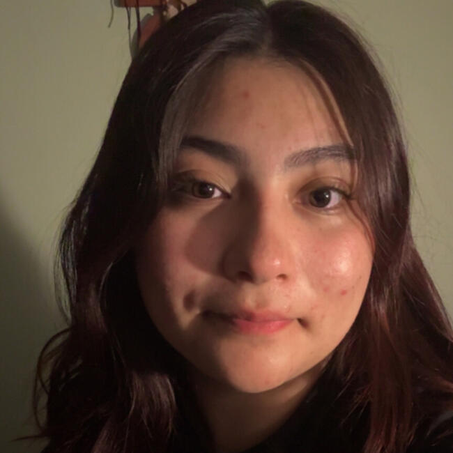 Niñera en Santiago de Chile: Josefa