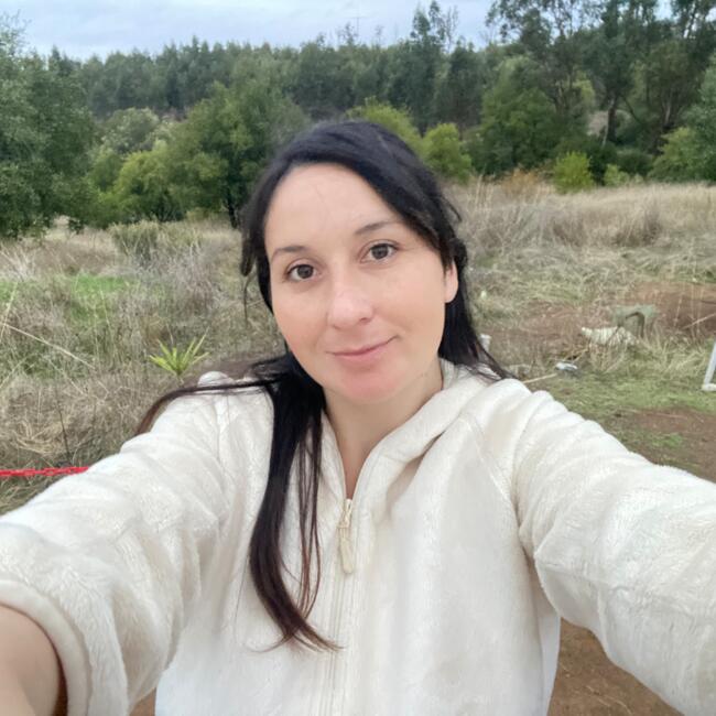 Babysitting job in San Pedro de la Paz: Tamara