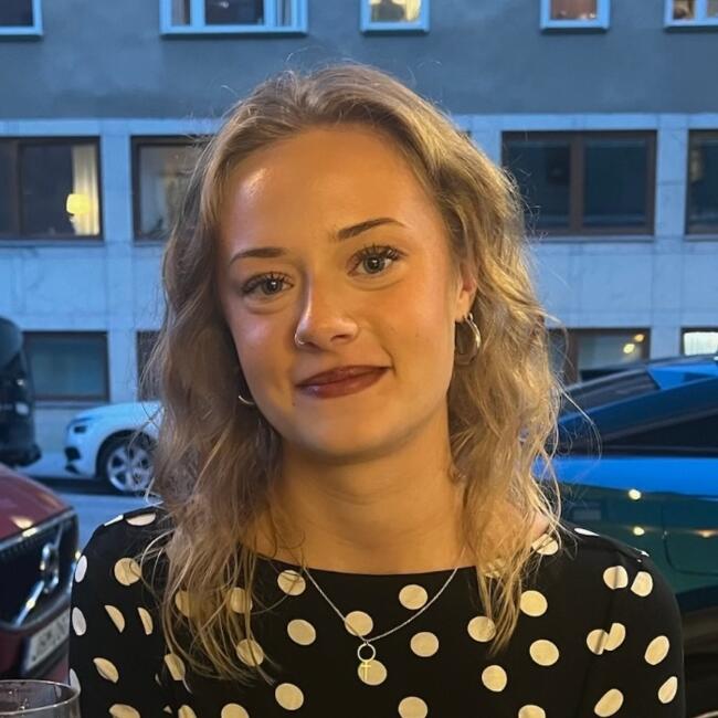 Babysitter in Stockholm: Blenda