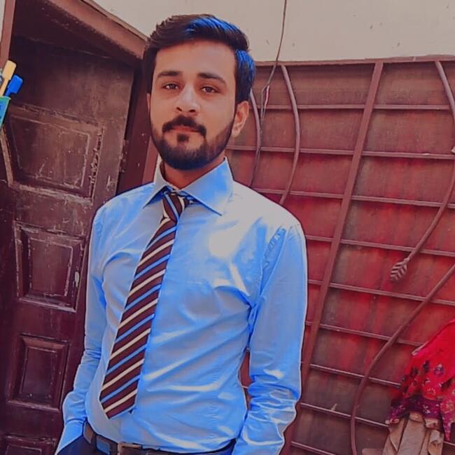 Babysitter in Rahim Yar Khan: Ali
