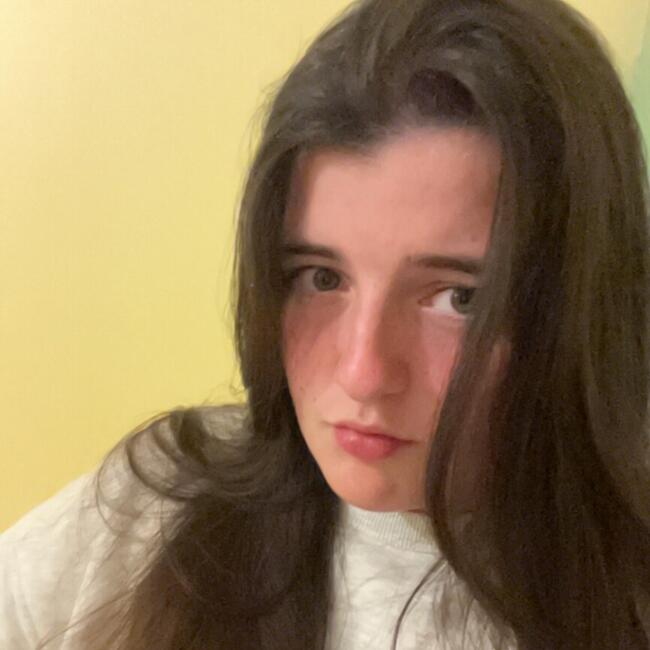 Babysitter in Bourg-en-Bresse: Julie