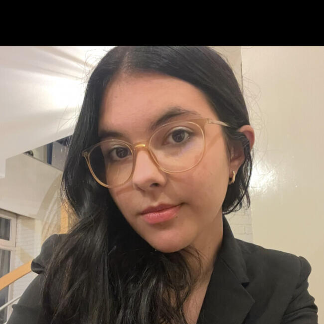 Babysitter in Limoges: Julia