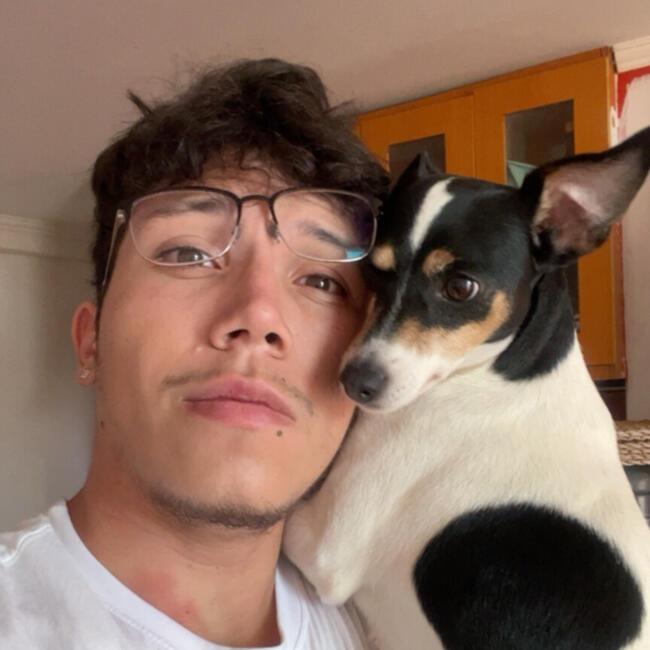 Babysitter in Arica: Juanfra