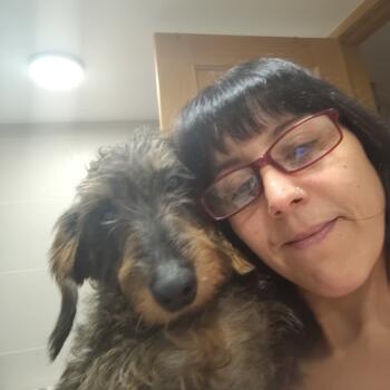 Babysitting job in Malaguilla: babysitting job Maria Del Carmen