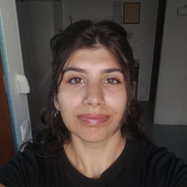 Babysitter em Porto: Beatriz Silva