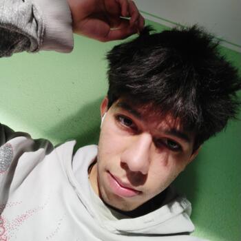 Babysitter Chignolo Po: Harman