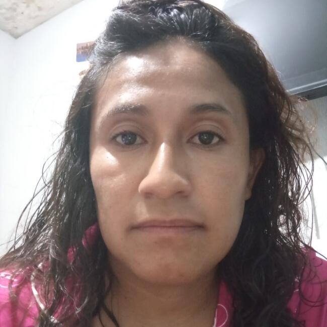Babysitter στην περιοχή León de los Aldama: Nancy