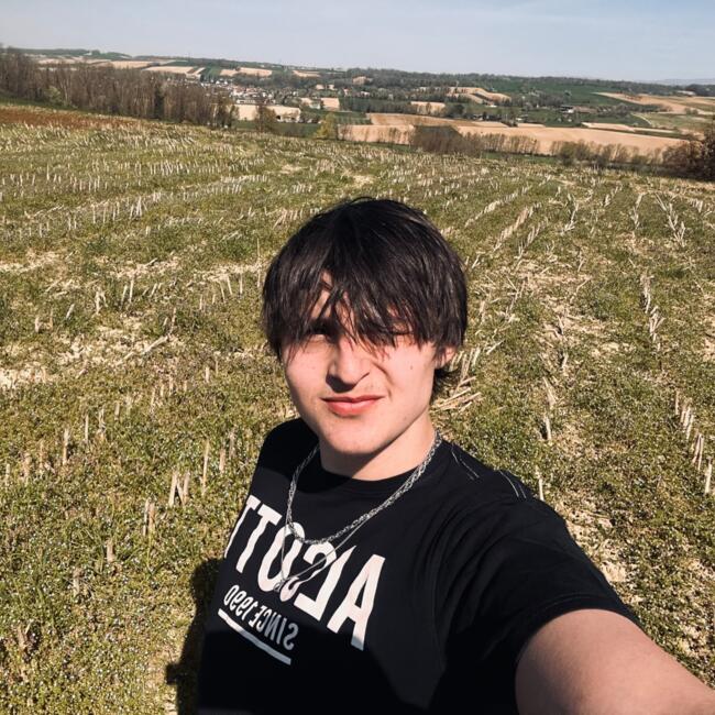 Babysitter in Illzach: Dimitri