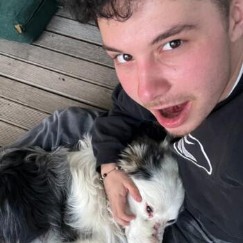 Babysitter in Christchurch: Noe