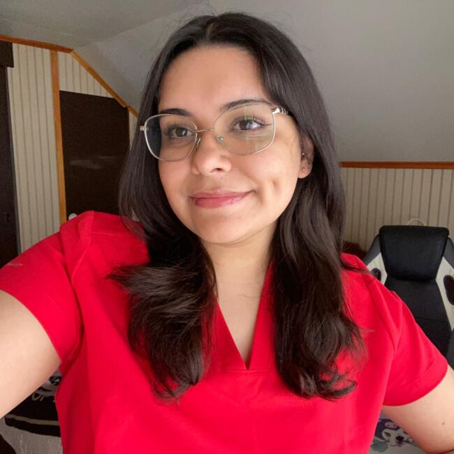 Babysitter in Rancagua: Aredia
