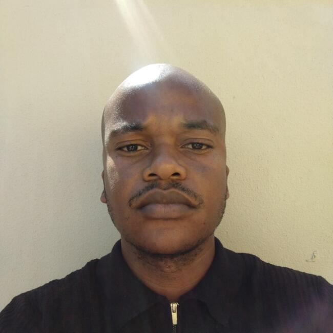 Babysitting job in Newlands West: Mlungisi