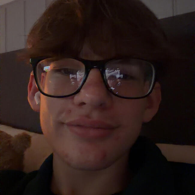 Babysitter in Wellington (Somerset): Jayden