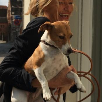 Babysitter in Brugge: Roos