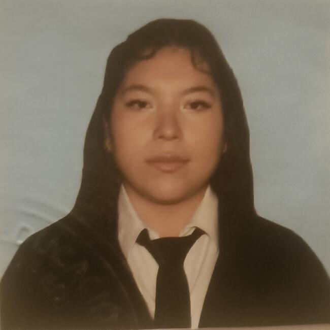 Niñera en Lomas de Zamora (Buenos Aires): Gretta Mileka Roldan Lima