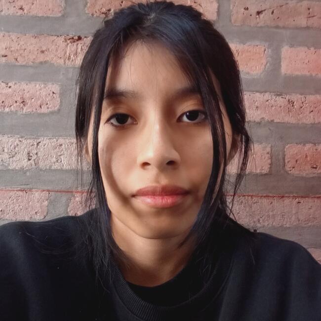 Niñera en Ciudad de Salta: Sandra