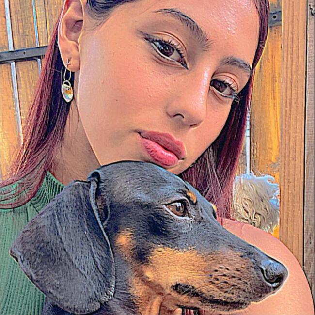 Babysitter in Hualqui: Camii