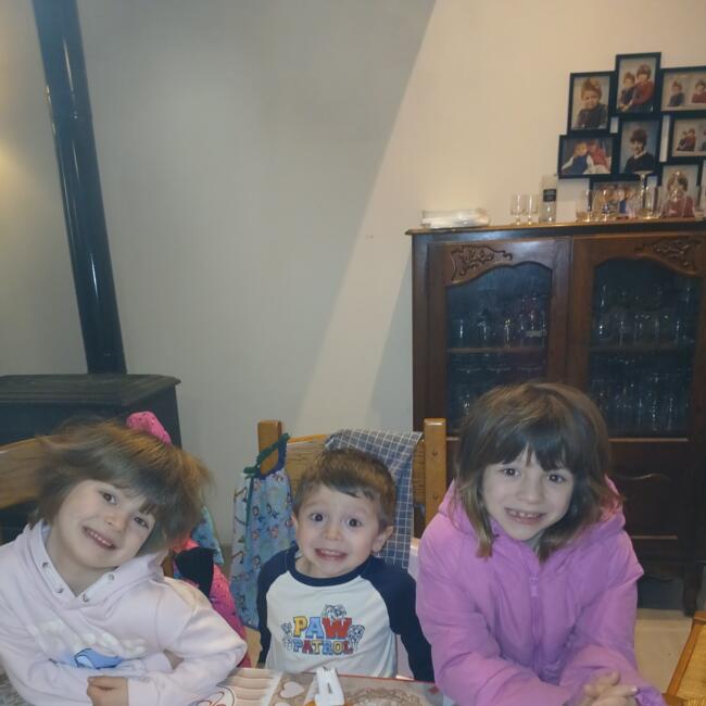 Babysitting job in Chuelles: Dedel
