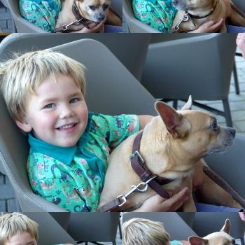 Babysitter Jobs in Pressbaum: Babysitter Job Barbara