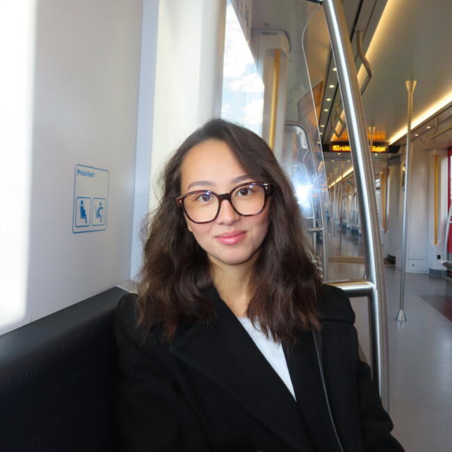 Babysitter in Sognolles-en-Montois: Longane