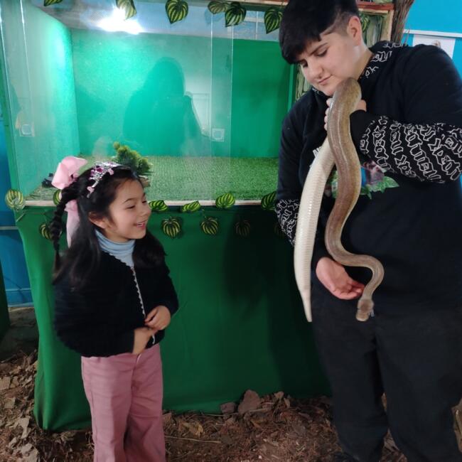 Babysitting job in Quilpué: Valentina