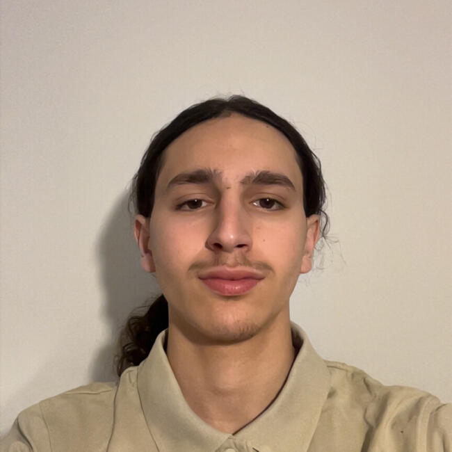 Babysitter in Villeurbanne: Kenzo