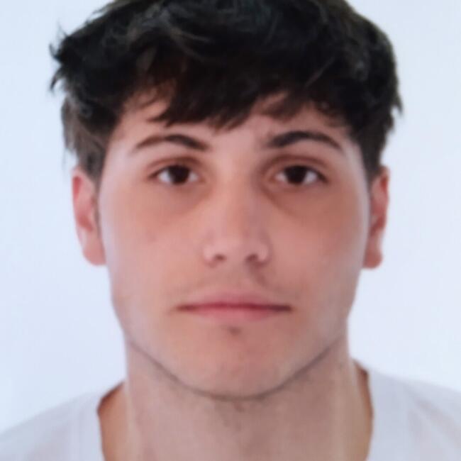 Baby-sitter in Naples: Aldo