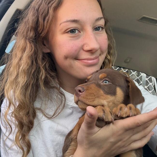 Babysitter in Albury: Molly