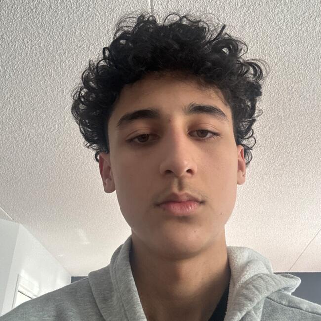 Babysitter in Candiac: Ali