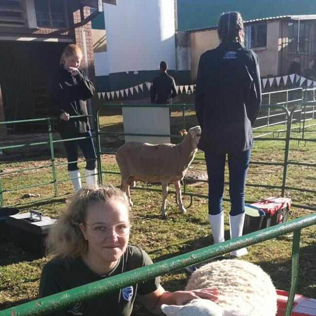 Babysitter in Krugersdorp: Gabby