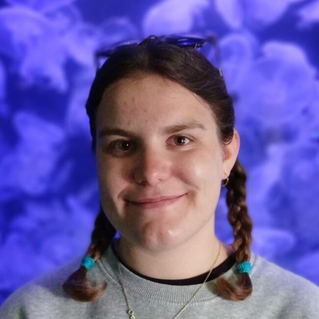 Babysitter in Fessenheim: Alizée