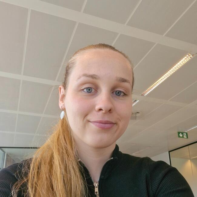 Babysitter in Lyon: Lorraine