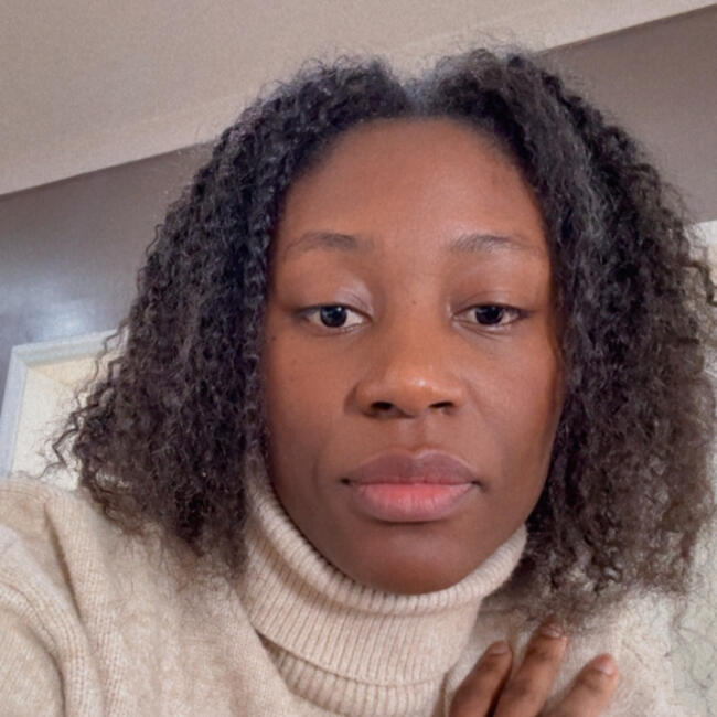 Babysitting job in Rio de Mouro: Aldaíde