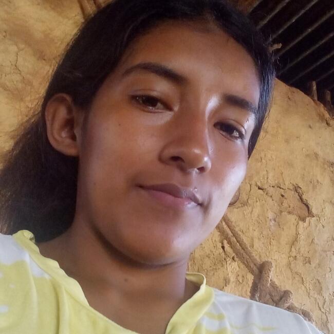 Babysitter in Santiago: Yadira