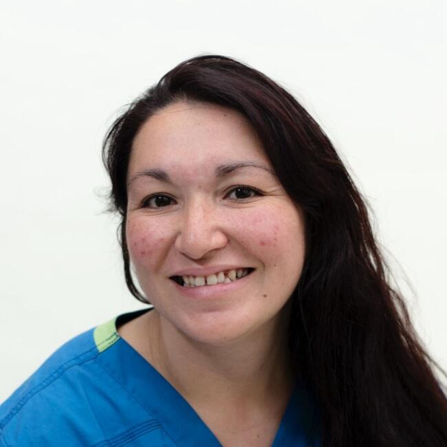 Niñera en Lo Barnechea: Rosa