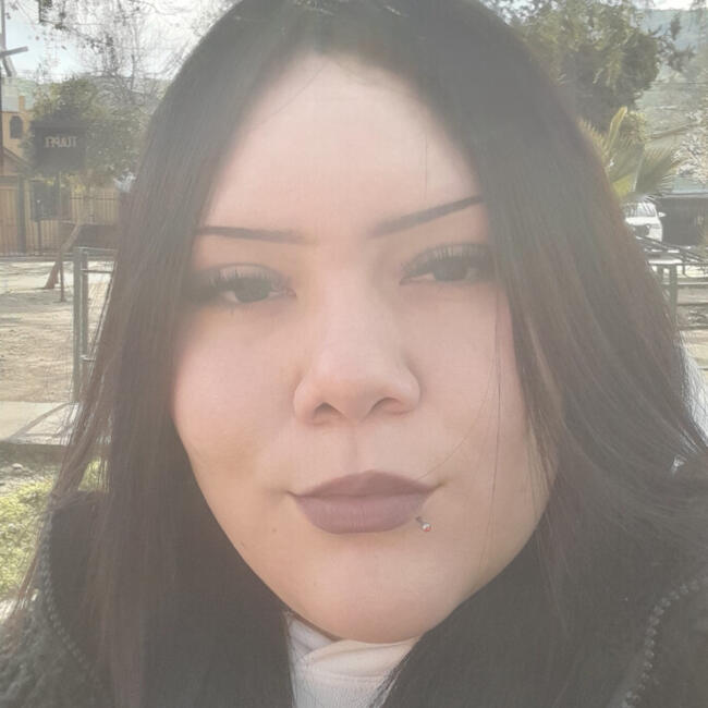 Babysitter in Renca: Agustina