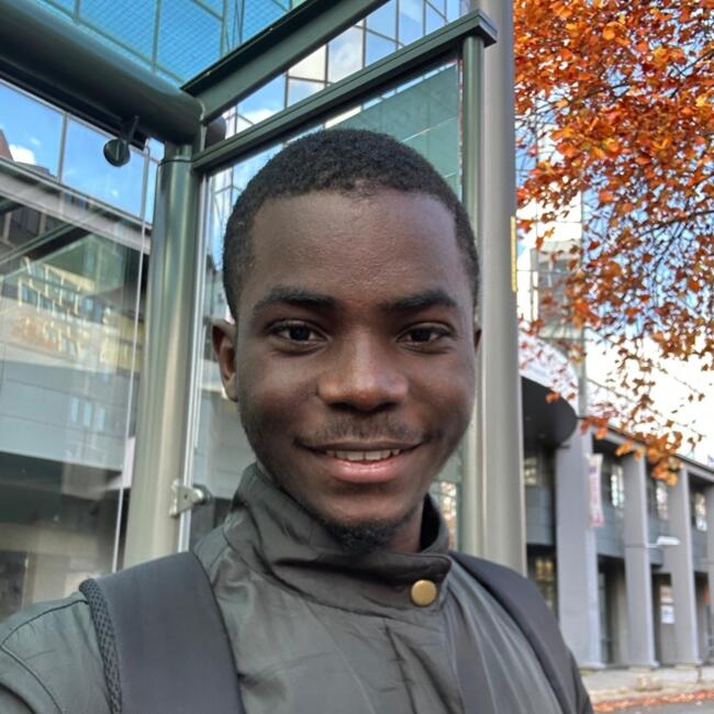 Babysitter in Joué-lès-Tours: LEANN REHU