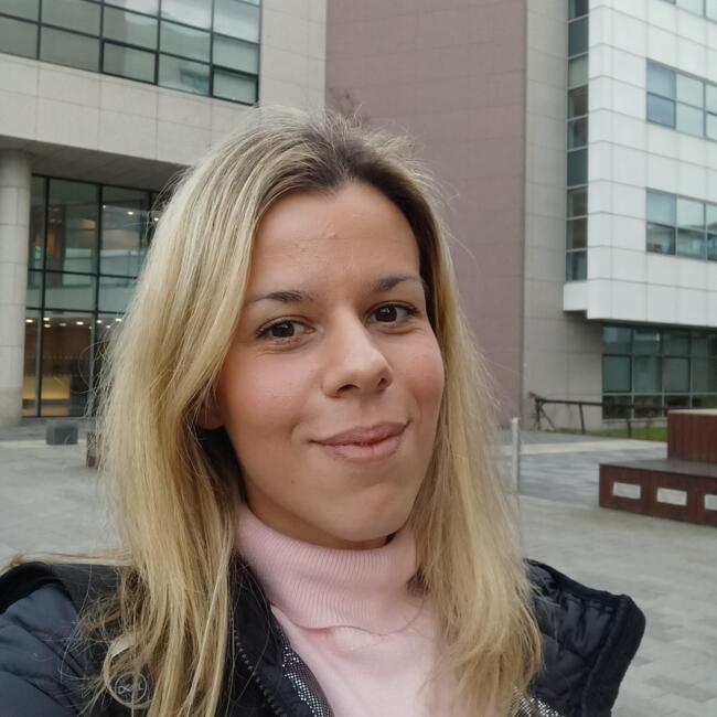 Babysitter in Lucan: Sara