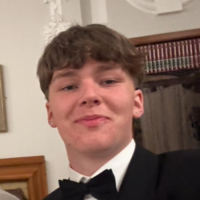 Babysitter in Wellington: Harry