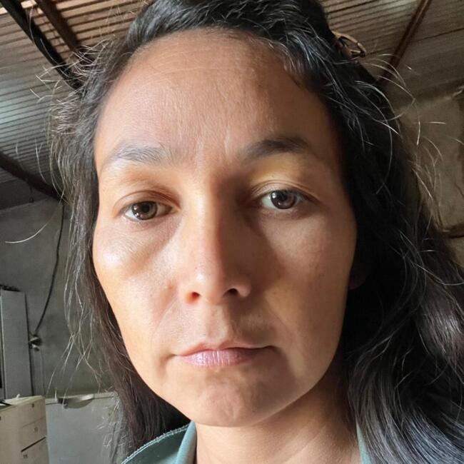Babysitter in Ciudad del Este: Nilda
